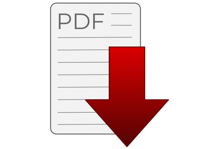 image of a pdf