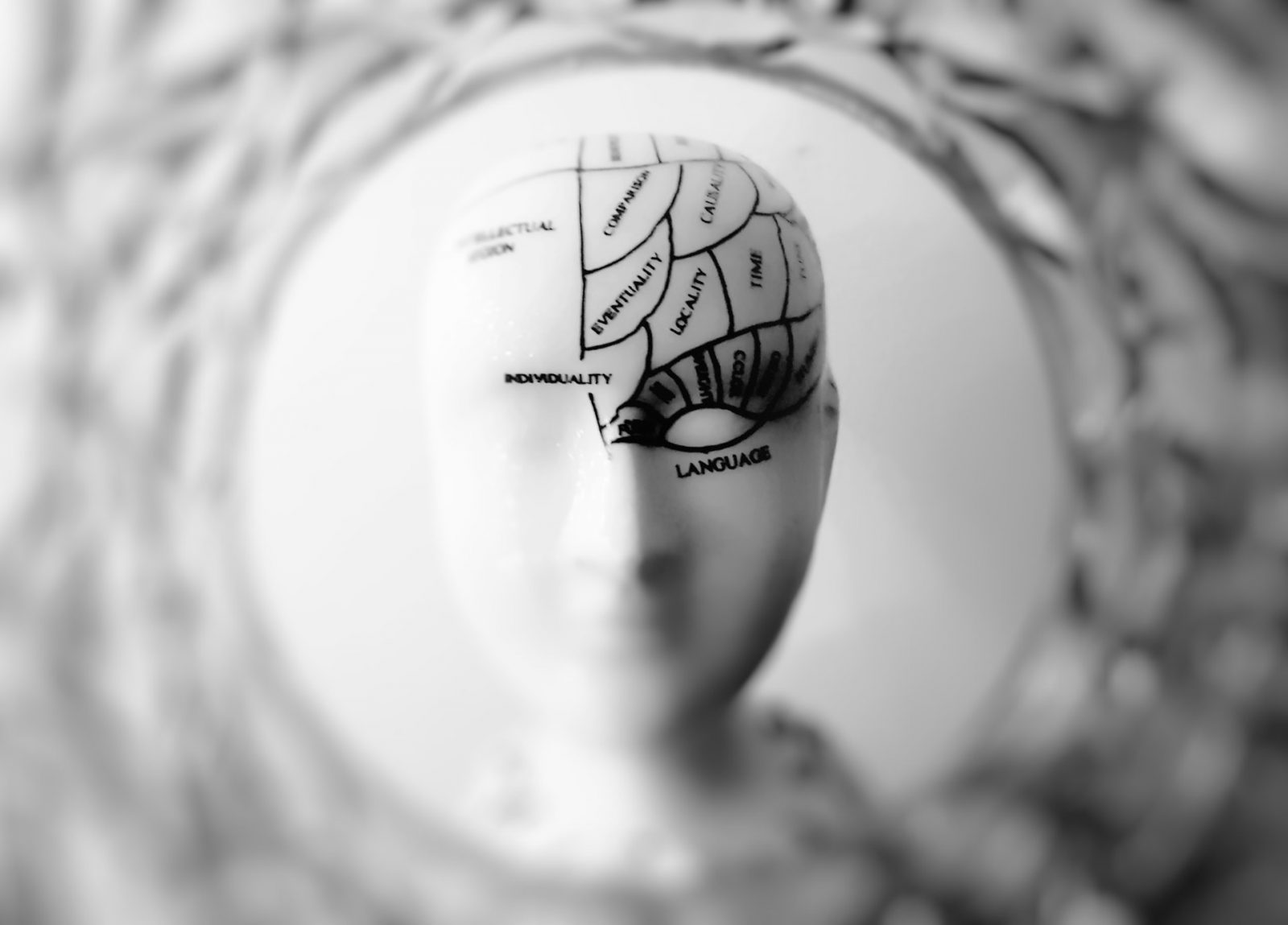 different parts of the brain