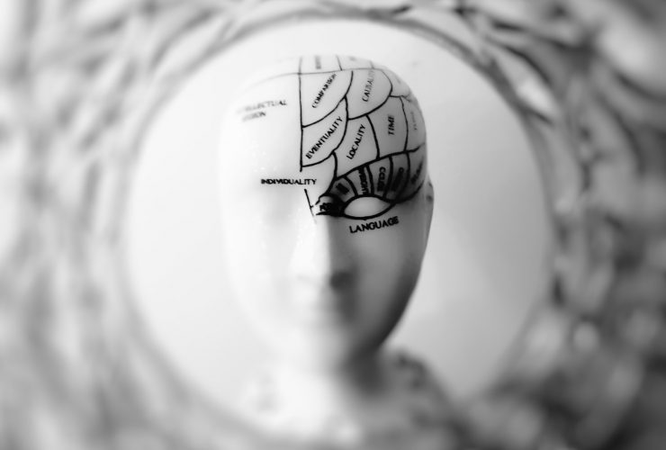 different parts of the brain