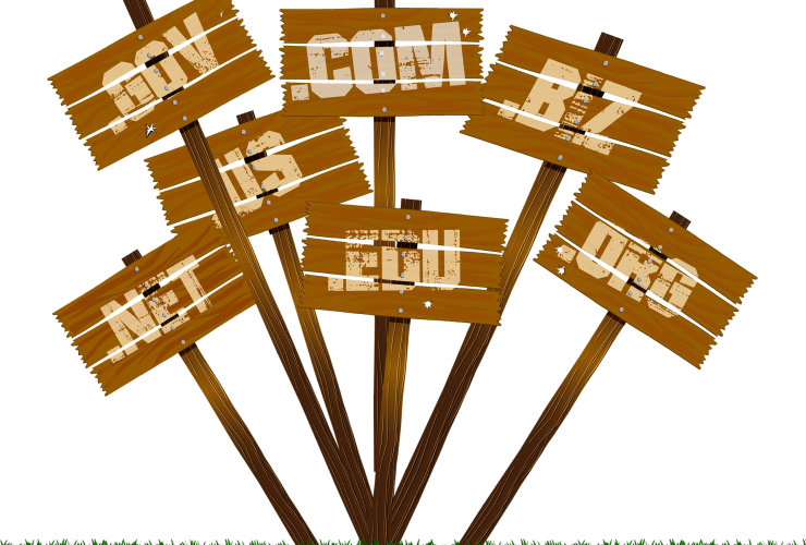 domain name extensions