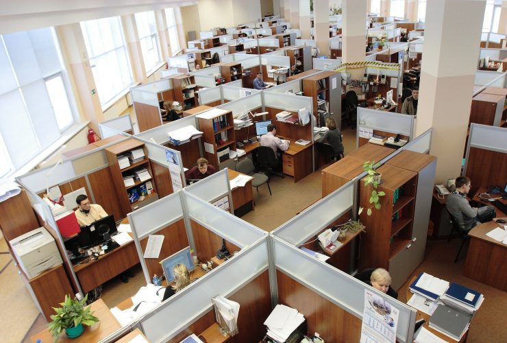 office workers