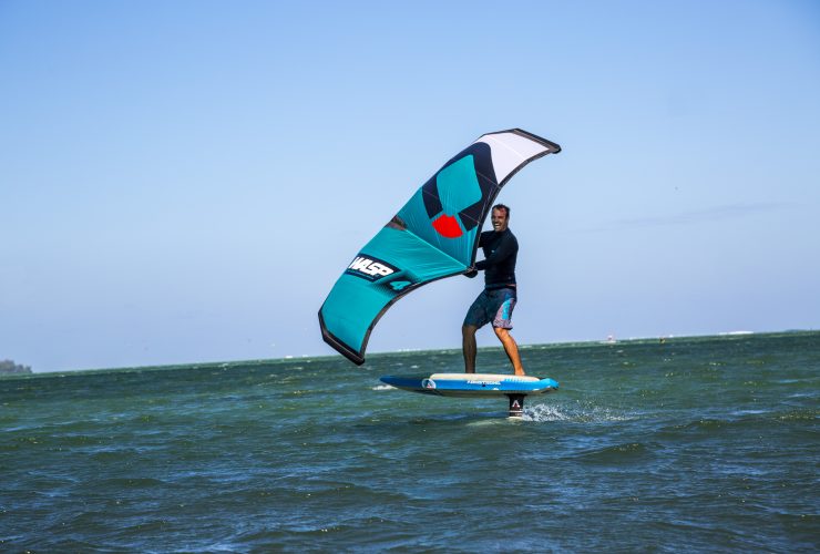 best wind wings for sale